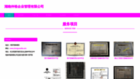 What Zhongyusulite.com website looked like in 2023 (This year)