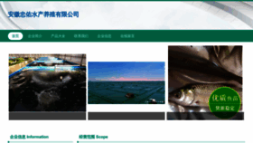 What Zhongyoulvcai.com website looked like in 2023 (This year)