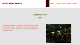 What Zzjiachu.com website looked like in 2023 (This year)