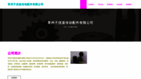What Ziyodao.com website looked like in 2023 (This year)