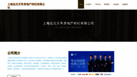 What Zhiytd.com website looked like in 2023 (This year)