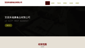 What Zhufukang99.com website looked like in 2023 (This year)