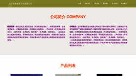 What Zhiyongart.com website looked like in 2023 (This year)
