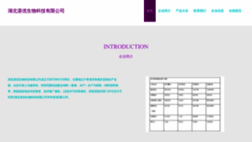 What Zhanyoushengwu.com website looked like in 2023 (This year)