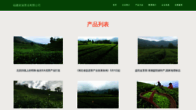 What Zhendig.com website looked like in 2023 (This year)