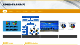 What Zhengzhetqd.com website looked like in 2023 (This year)