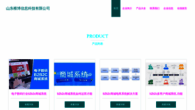 What Zhuihongkeji.com website looked like in 2023 (This year)