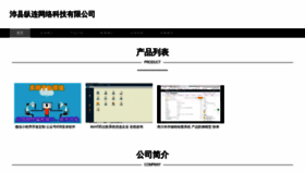 What Zonglianwangluo.com website looked like in 2023 (This year)