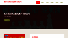 What Zhaitu666.com website looked like in 2023 (This year)
