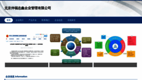 What Zhongfuzhixin.com website looked like in 2023 (This year)