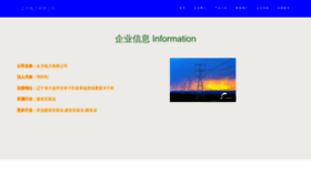 What Zhongyuedianli.com website looked like in 2023 (This year)