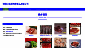 What Ztiansy.com website looked like in 2023 (This year)