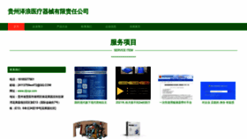 What Zljcqx.com website looked like in 2023 (This year)