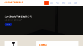 What Zfyuanyi.com website looked like in 2023 (This year)