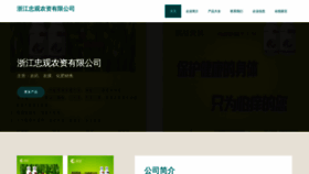 What Zjzhongguan.com website looked like in 2023 (This year)