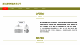 What Zjyihu.com website looked like in 2023 (This year)