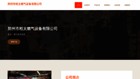 What Zzchengtai.com website looked like in 2023 (This year)