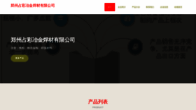 What Zzhancai.com website looked like in 2023 (This year)