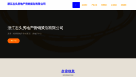 What Zjzhitou.com website looked like in 2023 (This year)