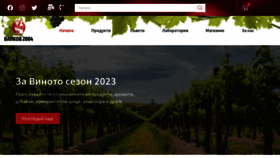 What Zavinoto.com website looked like in 2023 (This year)
