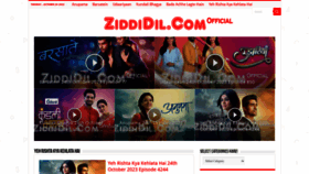 What Ziddidil.tv website looked like in 2023 (This year)
