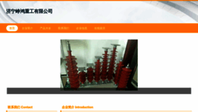 What Zhenghongdzj.com website looked like in 2023 (This year)