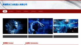 What Zhyee.cn website looked like in 2023 (This year)