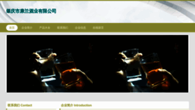 What Zmkang.cn website looked like in 2023 (This year)