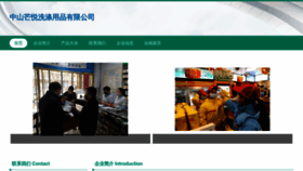What Zsmylm.cn website looked like in 2023 (This year)