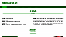 What Ztbnbjz.cn website looked like in 2023 (This year)