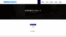 What Ztc88.cn website looked like in 2023 (This year)