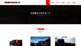 What Ztpdnet.cn website looked like in 2023 (This year)
