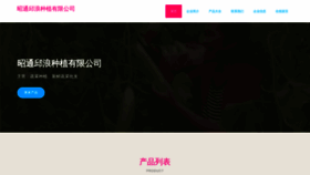 What Ztsmlw.cn website looked like in 2023 (This year)