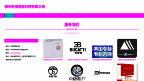 What Zzwvltd.cn website looked like in 2023 (This year)