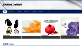 What Z1d41.cn website looked like in 2023 (This year)
