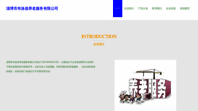 What Zbbcloud.cn website looked like in 2023 (This year)