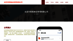 What Zggzks.cn website looked like in 2023 (This year)