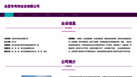 What Zgkaoshi.cn website looked like in 2023 (This year)
