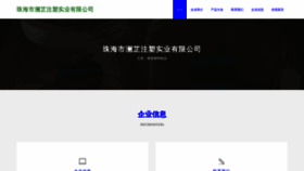 What Zhlanzhi.cn website looked like in 2023 (This year)