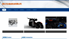 What Zibo113.cn website looked like in 2023 (This year)