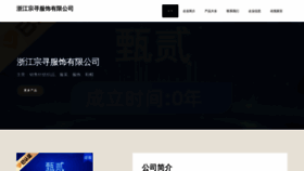 What Zjzongxun.cn website looked like in 2023 (This year)