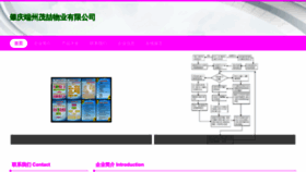 What Zpnaomz.cn website looked like in 2023 (This year)