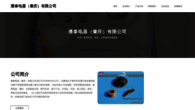 What Zpstpw.cn website looked like in 2023 (This year)