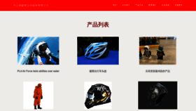 What Zsdss.cn website looked like in 2023 (This year)