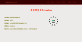 What Ztngonv.cn website looked like in 2023 (This year)