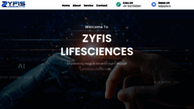What Zyfis.in website looked like in 2023 (This year)
