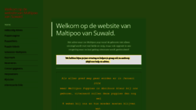 What Zomerweg.nl website looked like in 2023 (This year)