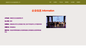 What Zghonghan.com website looks like in 2024 