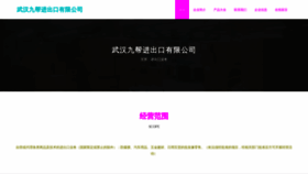 What Zgjiubang.com website looks like in 2024 
