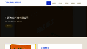 What Zhiguangkj.com website looks like in 2024 